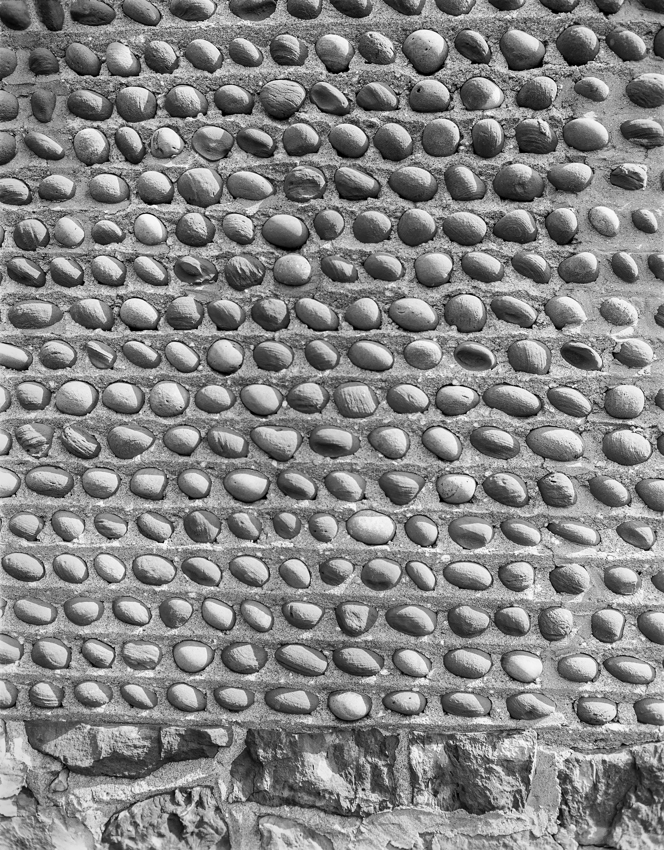 GP Wayne Sodus Sod-20 2-1 N